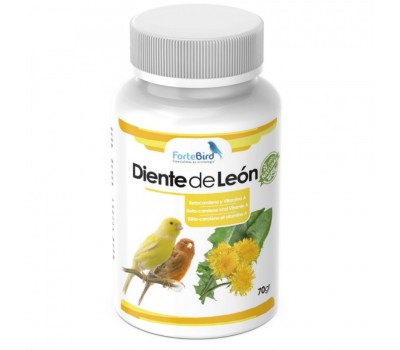 Diente de León | Betacaroteno y Vitamina A