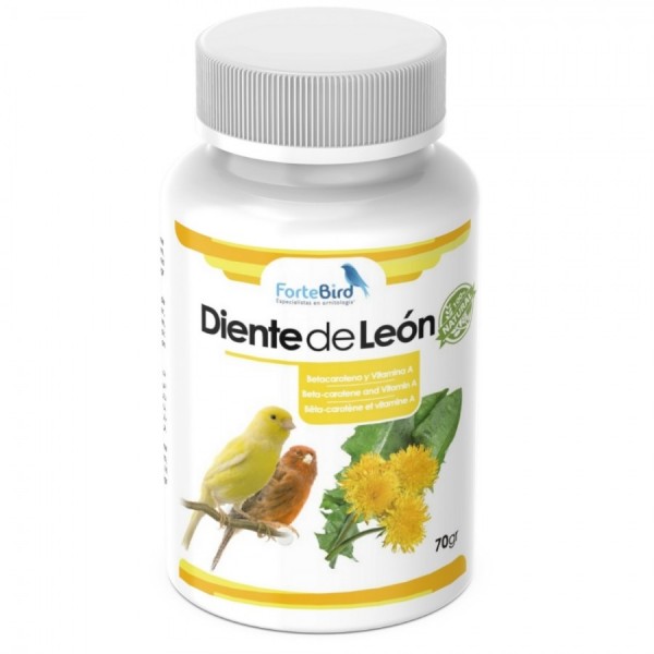 Diente de León | Betacaroteno y Vitamina A
