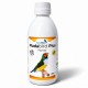 Mudabird Plus – Complemento líquido para la muda y el plumaje de aves ornamentales
