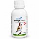 RespiBird | Afecciones respiratorias