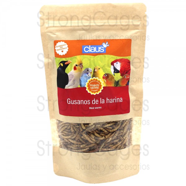 Gusanos de la harina para aves Gusanos de la harina para aves