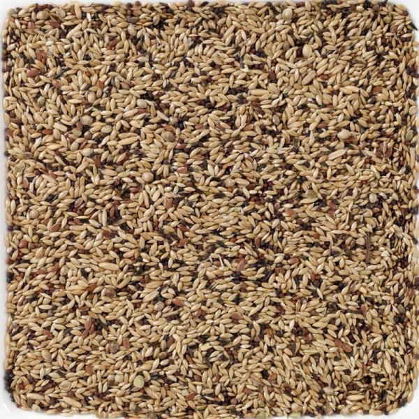 Mixt. Canario Suprema nº55 Deli Nature Mixt. Canario Suprema nº55 Deli Nature
