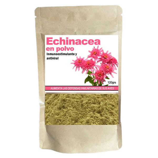 Echinacea en polvo (promueve las defensas inmunitarias) Echinacea en polvo (promueve las defensas inmunitarias)