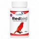 RedBird | Pigmentación pájaros rojos
