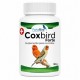 Coxbird Forte | Prevención y Tratamiento Natural de Coccidiosis