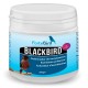 BlackBird | Suplemento para Mejorar la Oxidación y Calidad de Plumaje Negro BlackBird | Suplemento para Mejorar la Oxidación y Calidad de Plumaje Negro