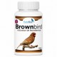 Brownbird - Optimiza la Feomelanina y la Oxidación en Faeos y Brunos