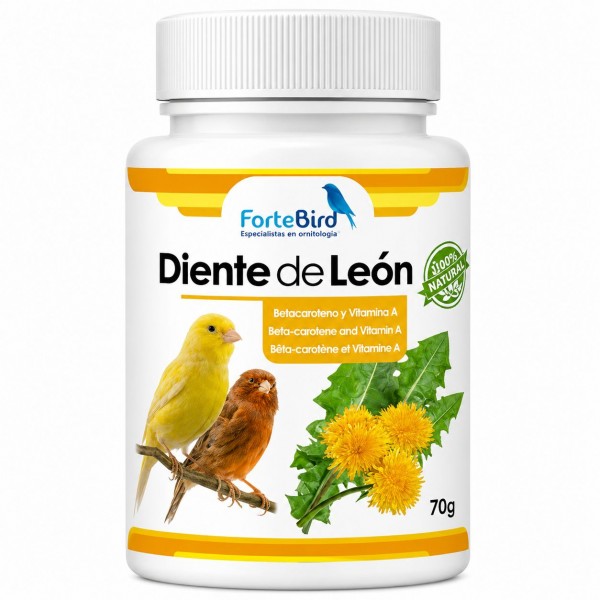 Diente de León | Betacaroteno y Vitamina A