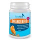 OrangeBird | Para canarios Norwich y Yorkshire OrangeBird | Para canarios Norwich y Yorkshire