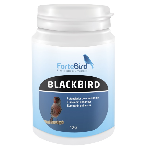 BlackBird | Potenciador de eumelaninas (Oxidación canarios negros)