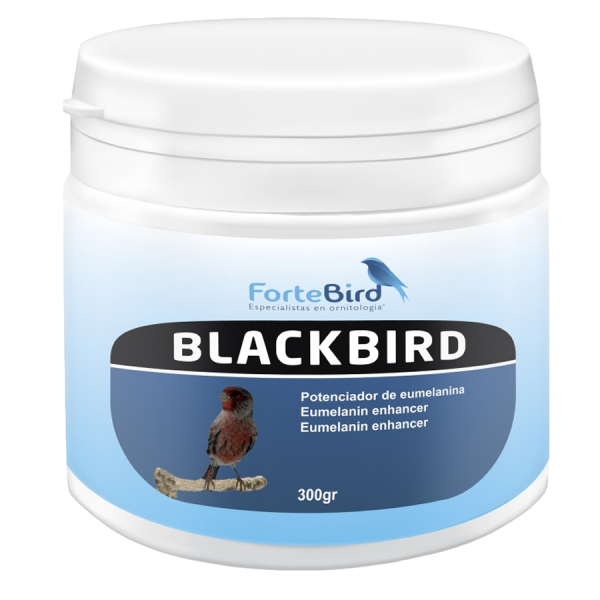 BlackBird | Potenciador de eumelaninas (Oxidación canarios negros)