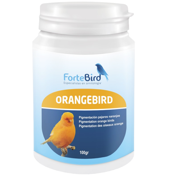 OrangeBird | Para canarios Norwich y Yorkshire