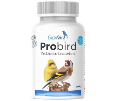 ProBird | Probiòtico bacteriano