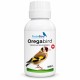 OregaBird (Esencia de Orégano 10%)